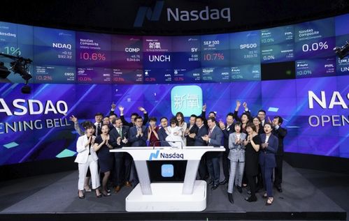 新氧科技醫美非標之困 流量變現受阻與科技中介服務挑戰