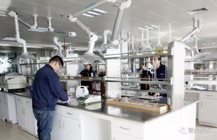 肥西縣高新技術企業(yè)認定實現(xiàn)新突破，社會經(jīng)濟咨詢服務賦能產(chǎn)業(yè)升級